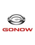 GONOW